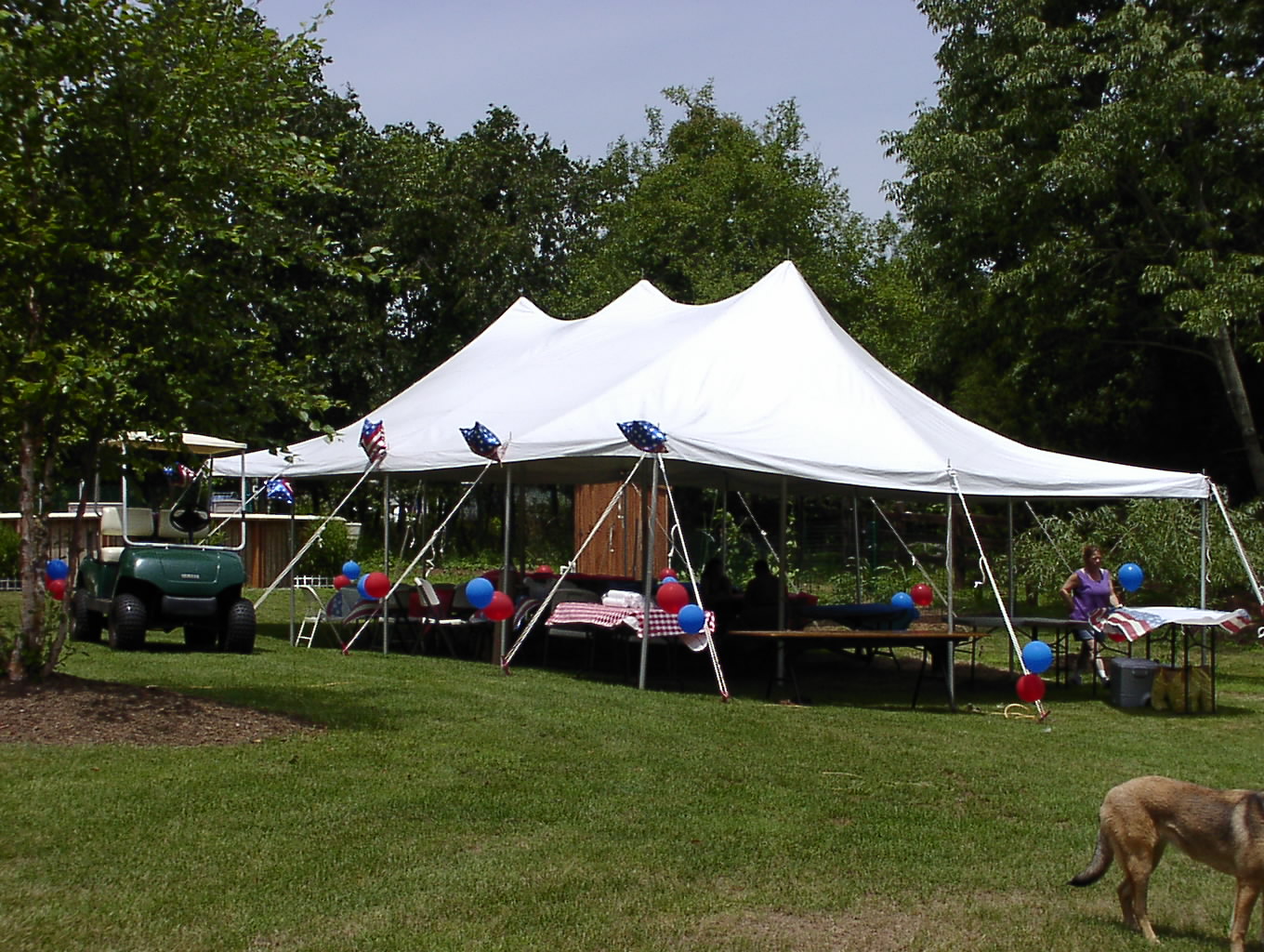 Tent Rental